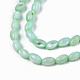 Eau douce naturelle de coquillage perles brins SHEL-N003-25-B03-3