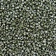MIYUKI Delica Beads X-SEED-J020-DB1566-4