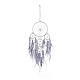 Iron Woven Web/Net with Feather Pendant Decorations AJEW-B017-03-2