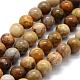 Natural Fossil Coral Beads Strands G-G763-12-10mm-4
