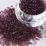Transparent Round Glass Seed Beads, Rosy Brown, 2mm, Hole: 1mm, 30000 beads/pound