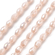 Стеклянные бусины с гальваническим покрытием  EGLA-A037-P6x8mm-B02