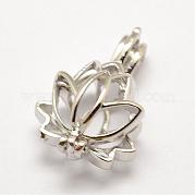 Латунные диффузор Locket подвески KK-P100-18P-NR