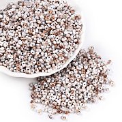 Выпечка краска стеклянные бусины SEED-C003-01L