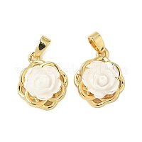 Подвески латуни cmолы&nbsp;KK-B139-16G-02