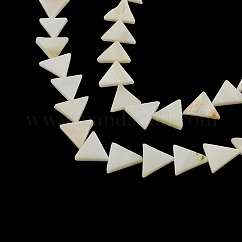 Hebras de cuentas de concha de mar natural triangular, 11~12x12~15x2~3mm, agujero: 0.5 mm, aproximamente 30 pcs / cadena, 13.3 pulgada