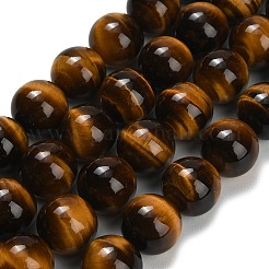 Chapelets de perles d'œil de tigre naturel&nbsp;G-C293-A01-14mm
