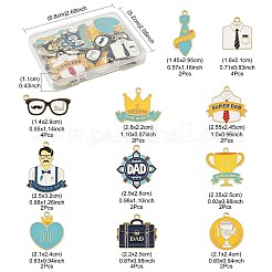 28 шт. 11 стиля подвески из сплава и эмали ко Дню отца&nbsp;ENAM-YW0005-89