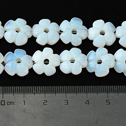 オパールビーズ連売り  花  14x14x5.5mm  穴：1.2mm  約29個/連  14.80''（37.6センチメートル）&nbsp;G-H023-B15-01