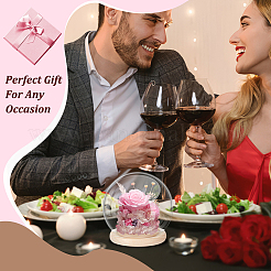 Купол из круглого стекла&nbsp;AJEW-WH0518-35