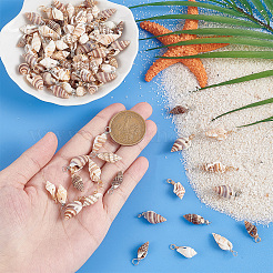 100шт 10 стиля подвески из натуральных ракушек PALLOY-AB00159