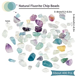 Perle di chip di fluorite naturale&nbsp;G-SC0001-27