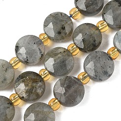 Природные лабрадорита бисер нитей G-G271-C09-10mm