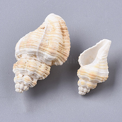 Натуральные спиральные бусы из ракушек SSHEL-S258-75