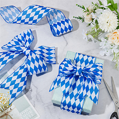 Полиэфирная лента DIY-WH0110-08