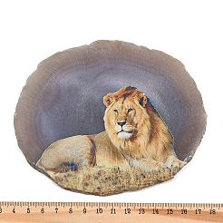 プリントされた天然瑪瑙スライス石飾り  幸運を呼ぶホームオフィスの装飾  ライオン  115~125x110~130x7~8mm&nbsp;DJEW-M011-04E