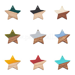 18шт 9 цвета подвески из смолы и ореха&nbsp;RESI-BT0001-08