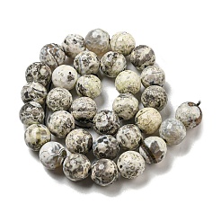 Граненые бусины из натурального огненного агата с треском&nbsp;G-F447-12mm-H03