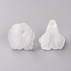 Прозрачные колпачки акриловая бисера PL551