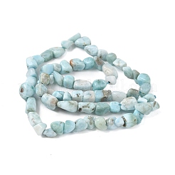 Природные ларимар бисер нитей G-K203-48