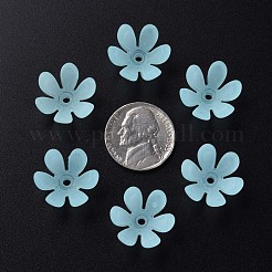 Прозрачные акриловые бусины&nbsp;MACR-S373-47-D07