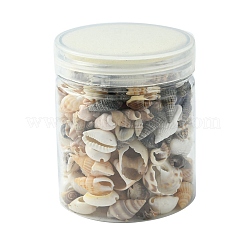 12 стили натуральные смешанные бусины из ракушек SSHEL-YW0001-05