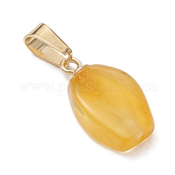 Подвески из натурального янтаря с градиентным цветом&nbsp;PALLOY-JF04930-02