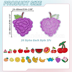 20 шт. 20 стиля фруктов компьютерная вышивка ткань приклеиваемые/пришивные нашивки PATC-AR0001-18