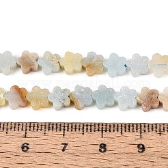 Натуральный цветок амазонитовые бусины пряди G-N257-24A-07