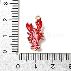 Цинк подвески эмали сплава&nbsp;LS-FIND-I044-17A-1