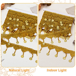 4.5 м блестящей полиэстеровой кружевной отделки с кисточками OCOR-PH0003-88