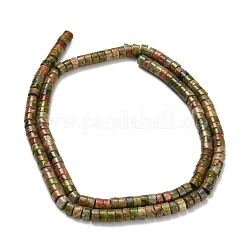 Природные Unakite бисер нитей G-Z110-A24-2x4mm