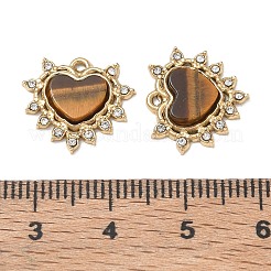 Pendentifs en œil de tigre naturel&nbsp;GG-CBA50CD-01G-01