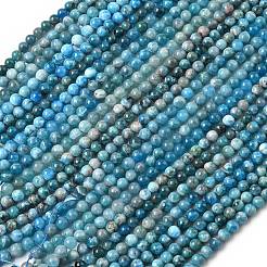 Природного апатита нитей бисера G-L626-A01-6mm-01