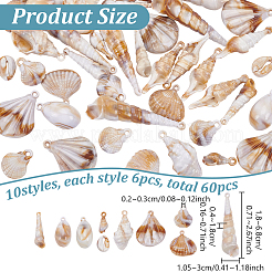 60шт 10 стиля акриловые подвески&nbsp;OACR-PH0004-44