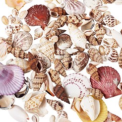 Gemischte Muschelperlen&nbsp;BSHE-TA0002-05