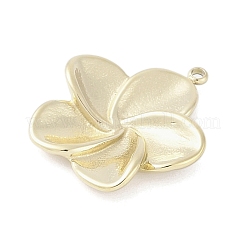 Подвески из нержавеющей стали 304 STAS-L022-420G