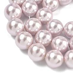 Perles de perles de coquille galvanoplastie&nbsp;BSHE-G041-12mm-06