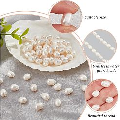 2 нить бусин из натурального культивированного пресноводного жемчуга&nbsp;PEAR-NB0001-70