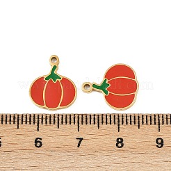 Овощи 304 нержавеющая сталь эмалированные подвески STAS-C137-02A-G