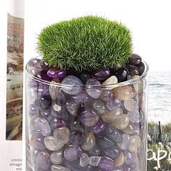 Окрашенные и нагретые натуральные бусины из агата X1-G-J402-04E-07