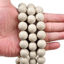 Природные окаменелое дерево бисер пряди&nbsp;G-L648-A03-16mm-01