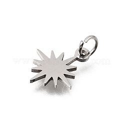Anhänger aus 304 Edelstahl&nbsp;SA-CBA4CE0-16P