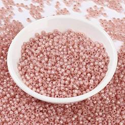 Perles rocailles miyuki rondes&nbsp;X-SEED-G008-RR0642