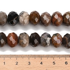 Природные окаменелое дерево бисер пряди G-C259-A06-8x12mm-01