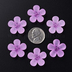 Прозрачные акриловые бусины&nbsp;MACR-S373-116-D04