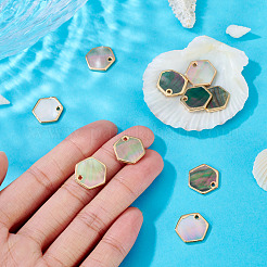 10 шт. натуральные черные шестиугольные подвески-ракушки для губ&nbsp;BSHE-TA0001-25