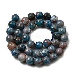 Природного апатита нитей бисера G-D340-A02-10mm