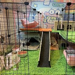 Стойка для кормления сена для кроликов AJEW-WH0119-95