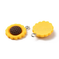 Pendentifs en résine&nbsp;RESI-C002-27